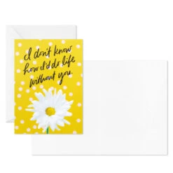 Hallmark Colorful Daisies Boxed Thank-You Notes, Pack Of 50 10 Hallmark Colorful Daisies Boxed Thank-You Notes, Pack Of 50 -Hallmark Sales Colorful Daisies Boxed ThankYou Notes 3THK2543 04
