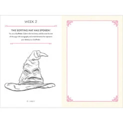 Harry Potter Gryffindor Courage Guided Journal -Hallmark Sales Harry Potter Gryffindor Activity Journal 9781647222376 03