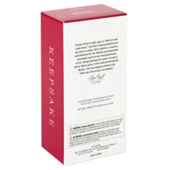 Hallmark Hot Wheels™ Mach Speeder™ Ornament With Light -Hallmark Sales Hot Wheels Mac Speeder Keepsake Ornament 1999QXI7389 05