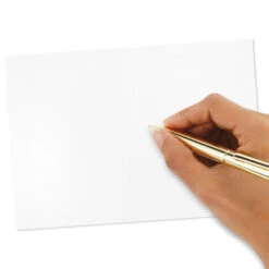 Hallmark Pattern Play Assorted Blank Note Cards, Pack Of 48 -Hallmark Sales Pattern Play Assorted Blank Note Cards 5STZ5118 04