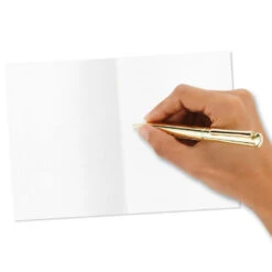 Hallmark Primary Colors Assorted Blank Thank-You Notes, Pack Of 48 12 Hallmark Primary Colors Assorted Blank Thank-You Notes, Pack Of 48 -Hallmark Sales Primary Colors Blank ThankYou Notes Assortment Pack 5STZ1057 06