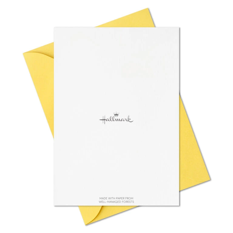 Hallmark Primary Colors Assorted Blank Thank-You Notes, Pack Of 48 7 Hallmark Primary Colors Assorted Blank Thank-You Notes, Pack Of 48 - Image 7
