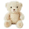 Hallmark Be There When You Can’t Recordable Bear Stuffed Animal, 10”