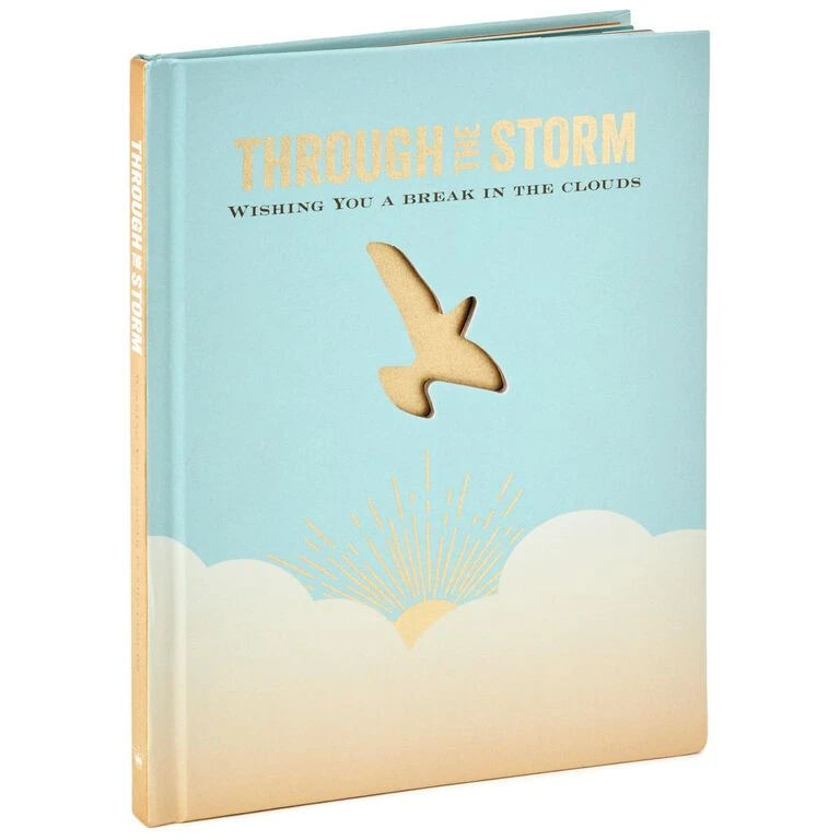 Hallmark Through The Storm: Wishing You A Break In The Clouds Book 1 Hallmark Through The Storm: Wishing You A Break In The Clouds Book